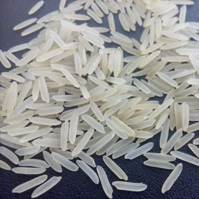 1121 Basmati Rice
